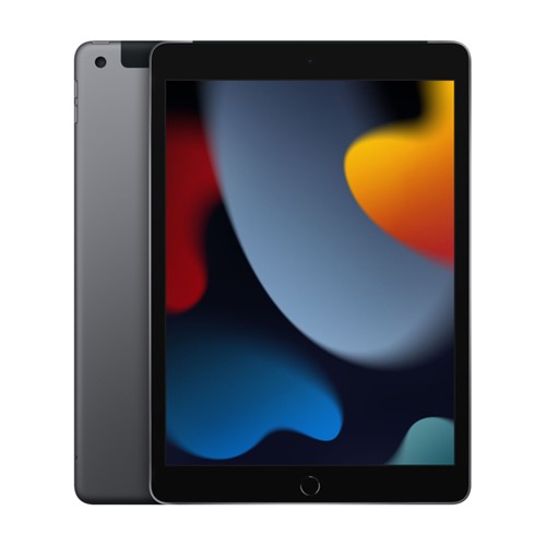 Apple iPad 10,2 2021 256GB + Cellular - Space Gray (9. Gen.)